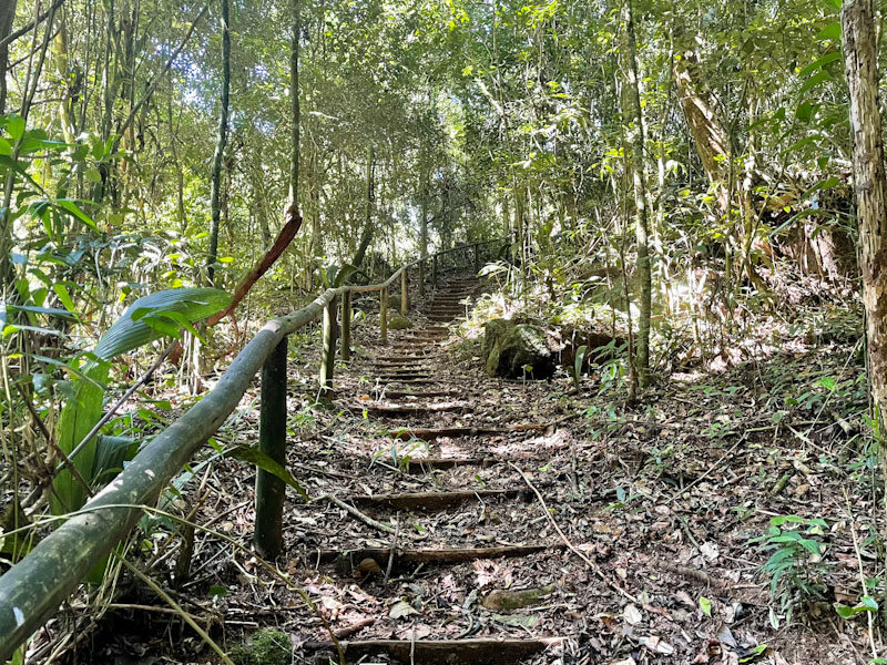 trilha agua branca ilhabela