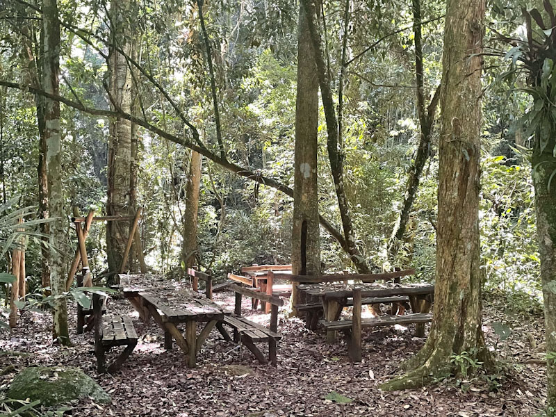trilha agua branca ilhabela