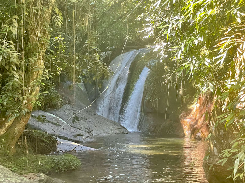 trilha agua branca ilhabela