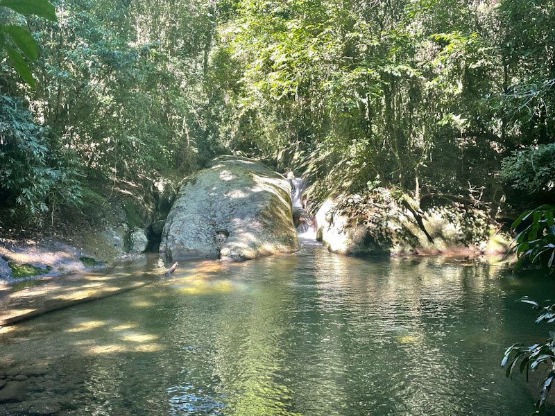 trilha agua branca ilhabela