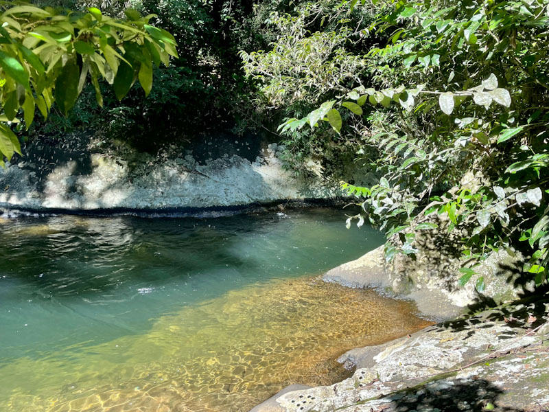 trilha agua branca ilhabela