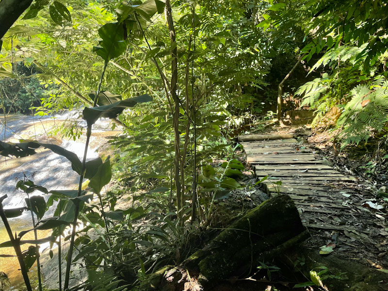Poço Jequitiba trilha agua branca ilhabela