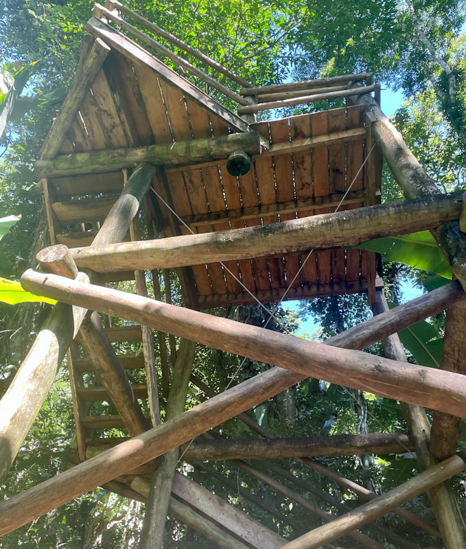 trilha agua branca ilhabela