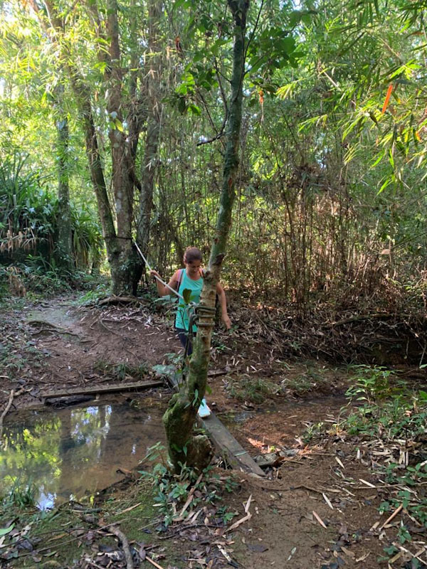 Trilha Mirante Buraco do Cação Ilhabela
