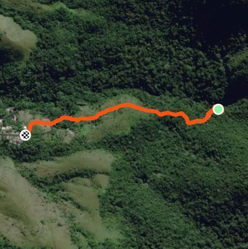 Trilha Cachoeira da Friagem Ilhabela