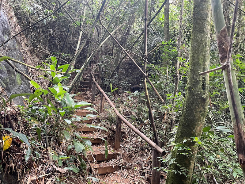 trilha cachoeira da friagem ilhabela