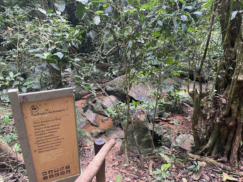 cachoeira da friagem ilhabela