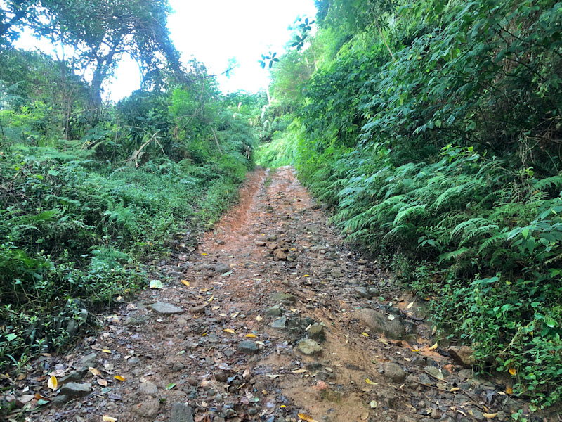 trilha cachoeira da Lage Ilhabela