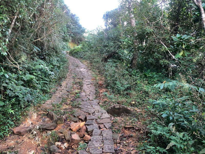 Trilha Cachoeira da Lage Ilhabela