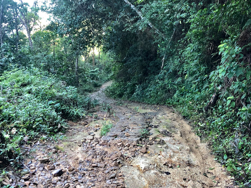 Trilha Cachoeira da Lage Ilhabela