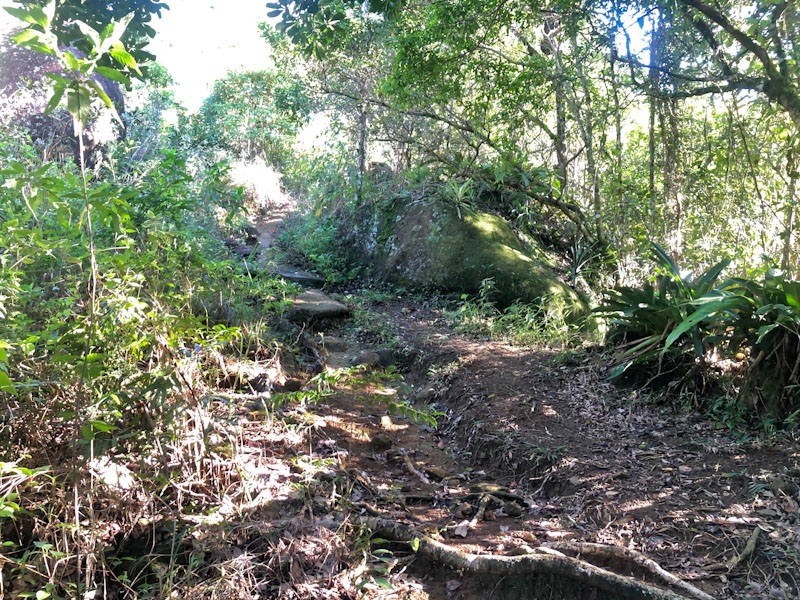 Lago Dourado Ilhabela