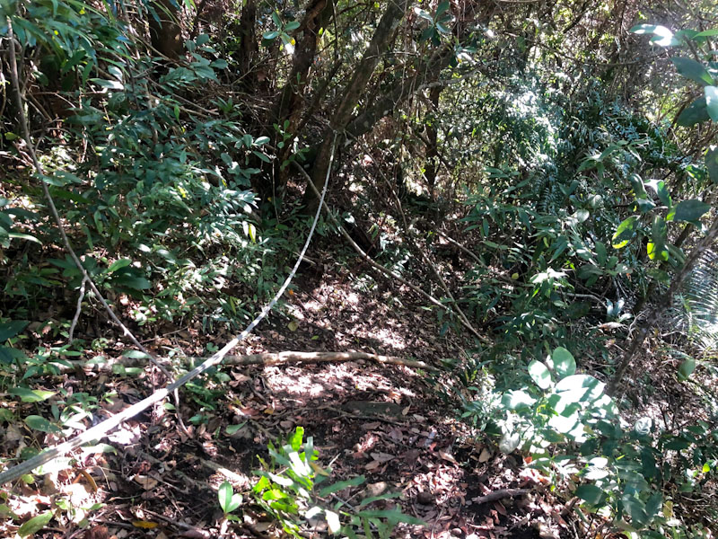 Lago Dourado Ilhabela
