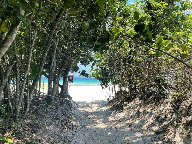 Praia de Lopes Mendes Ilha Grande