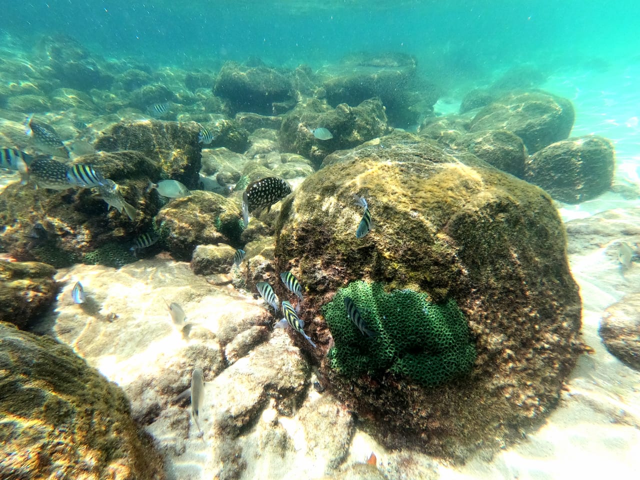 Lagoa azul ilha grande