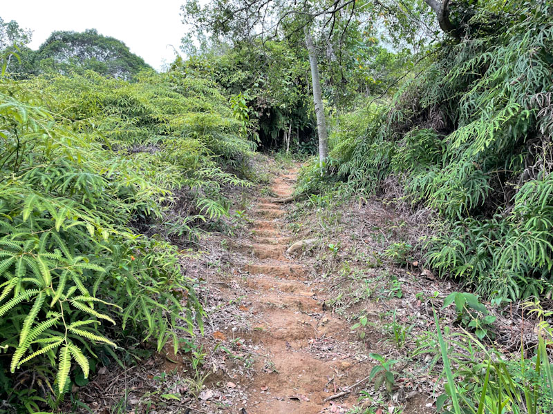 mirante sundara Praia de aventureiro ilha grande