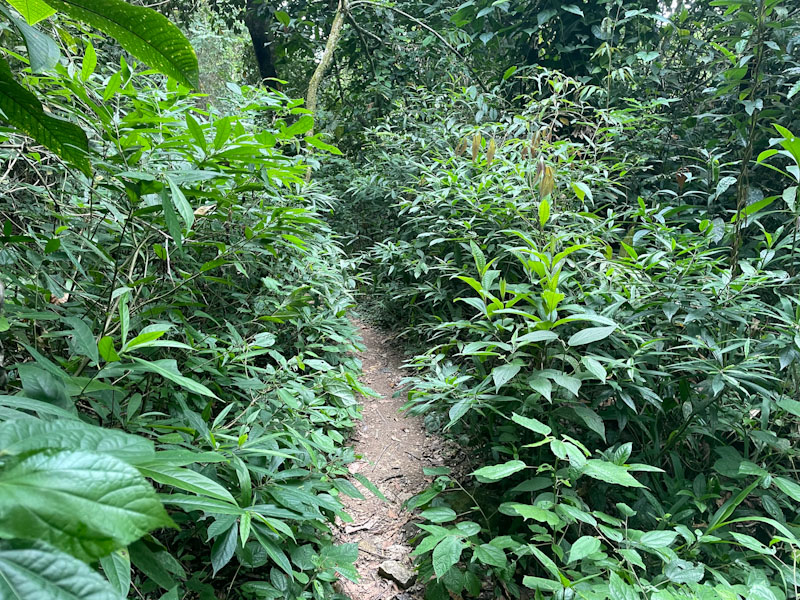 Piscina do soldado ilha grande