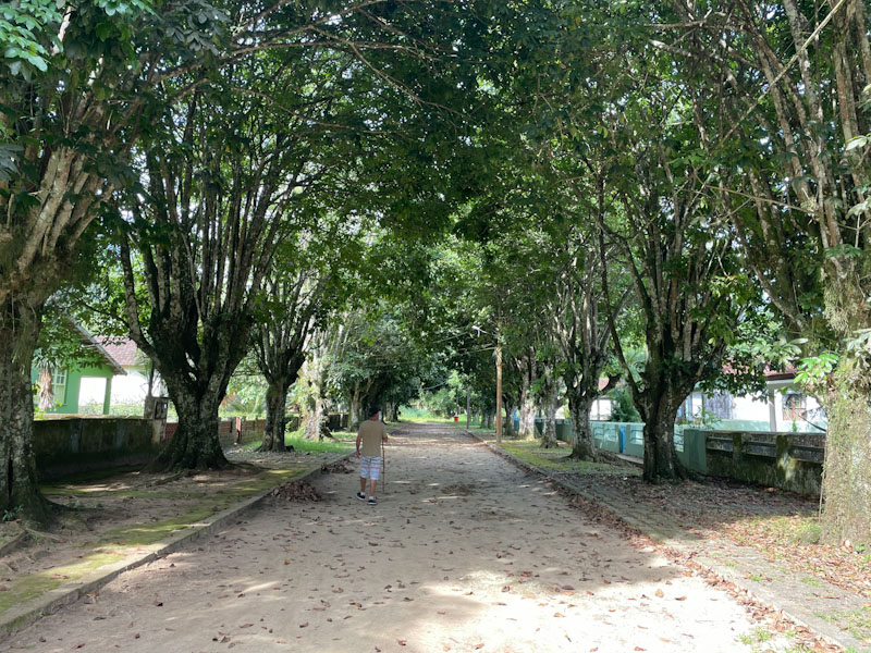 presidio ilha grande