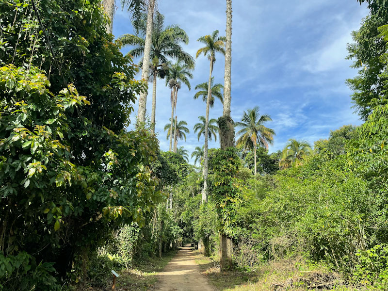 trilha de dois rios para Abraão