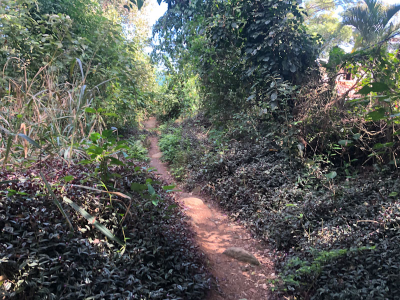 piscinas naturais ilhabela