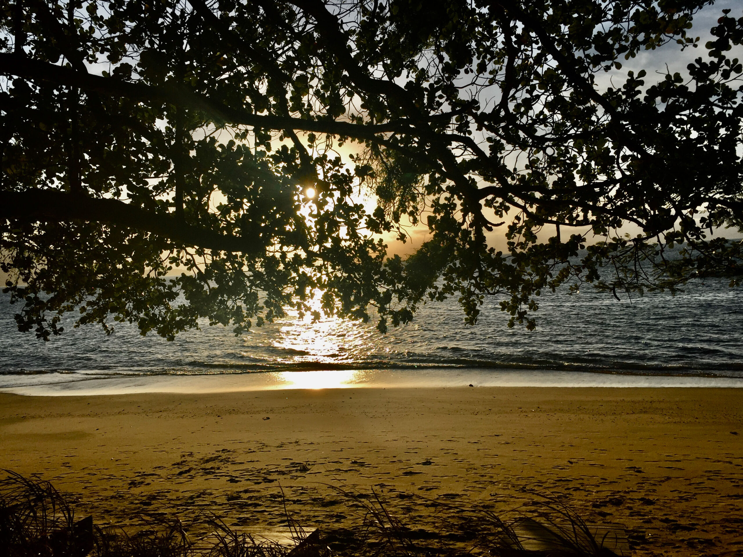 Praia da Armacao Ilhabela Por do Sol