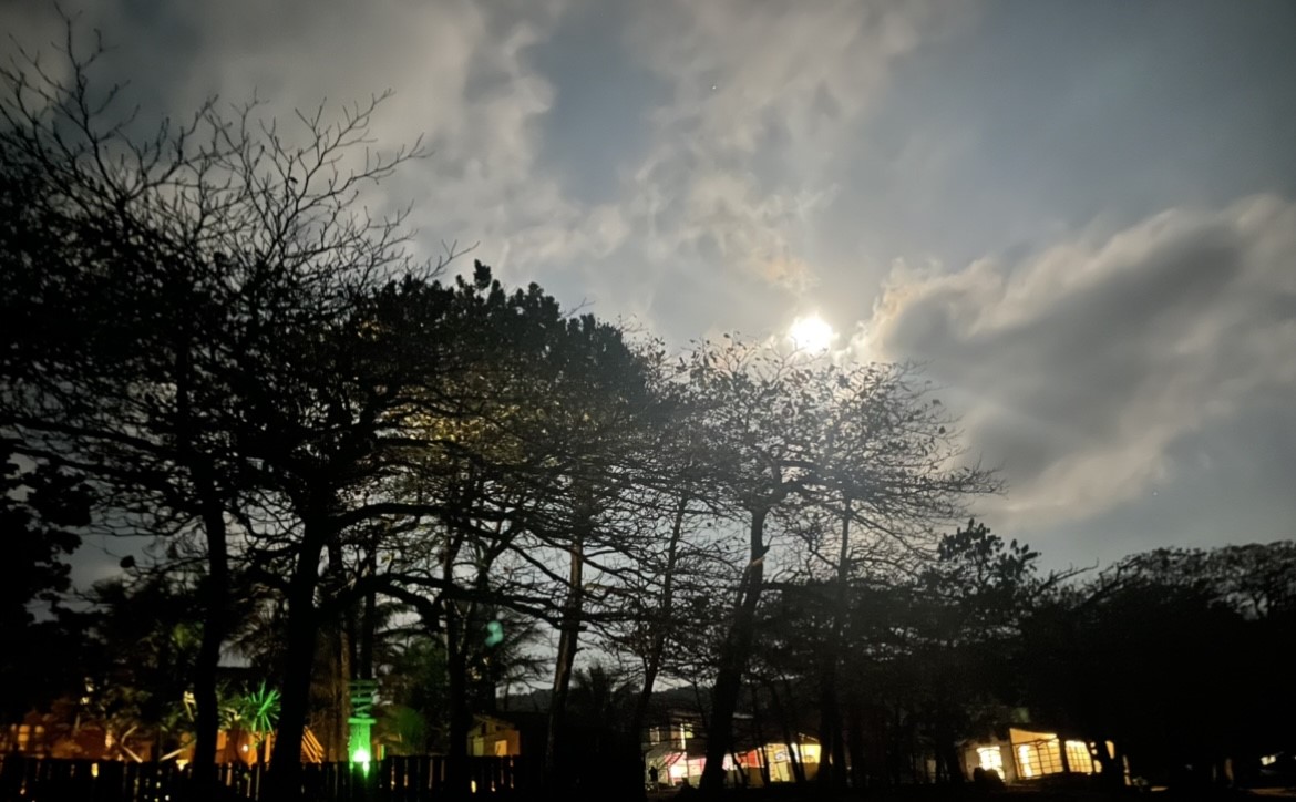 praia do bonete ilhabela