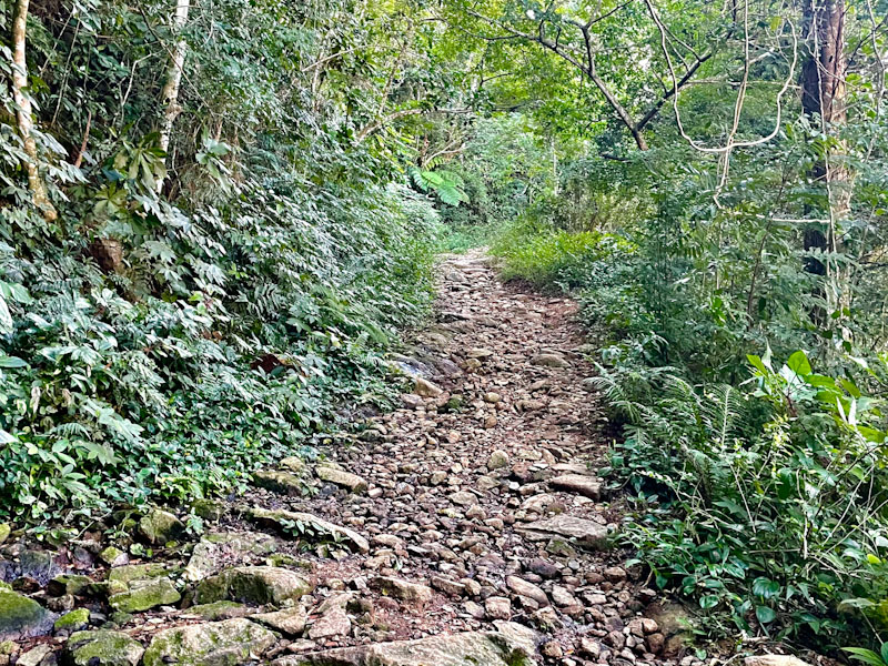 trilha praia do bonete ilhabela