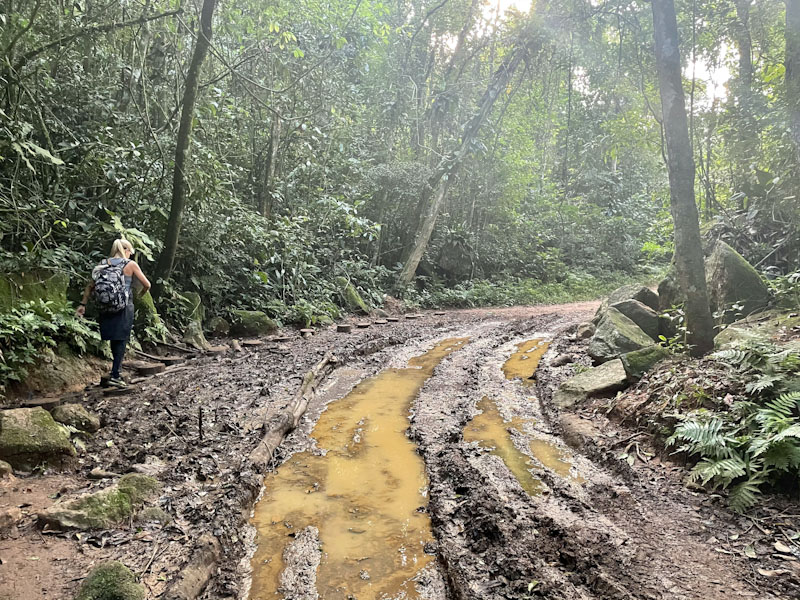 trilha praia do bonete ilhabela