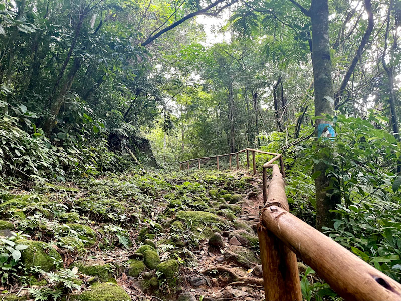trilha do bonete ilhabela