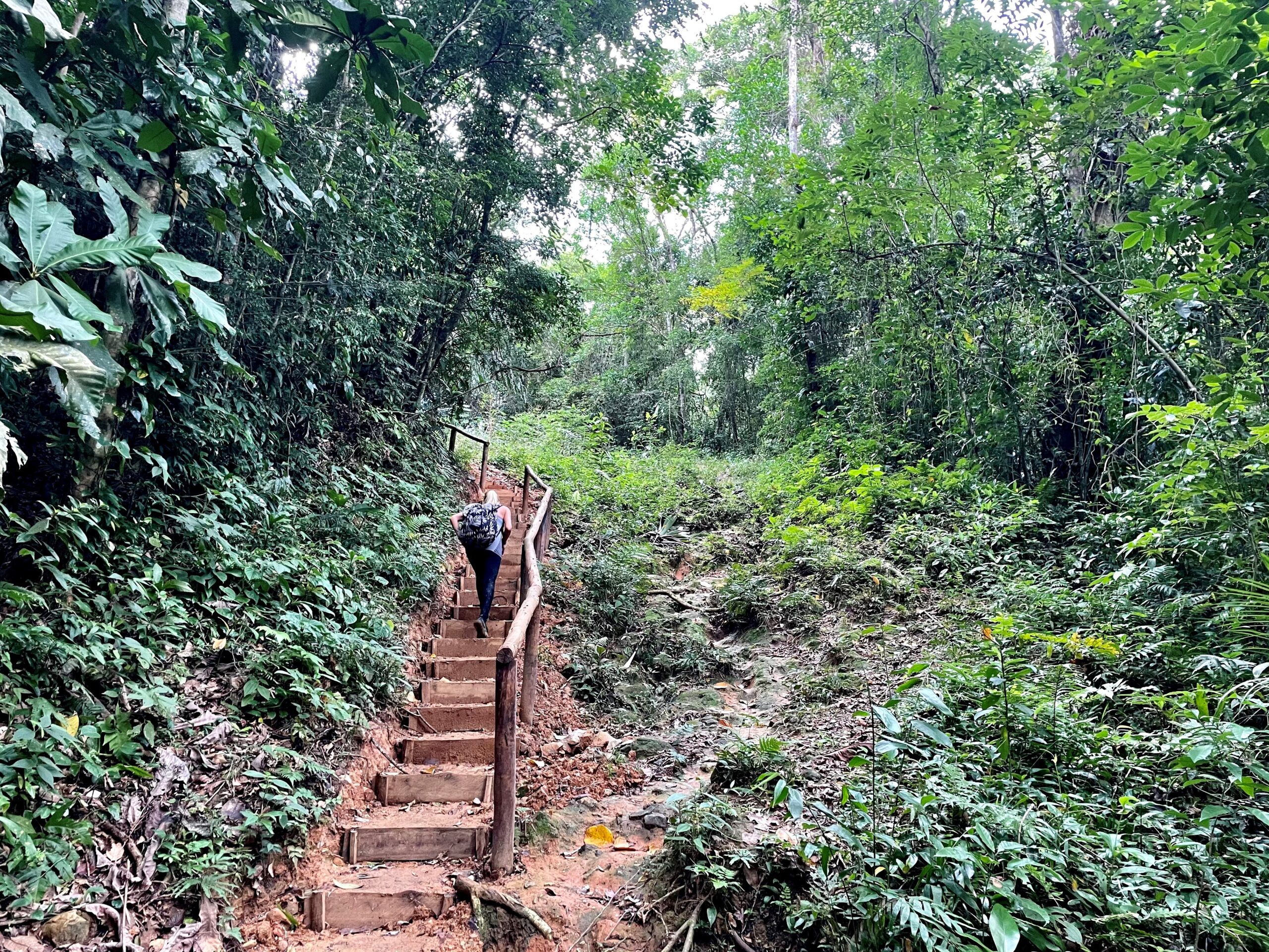 trilha do bonete ilhabela