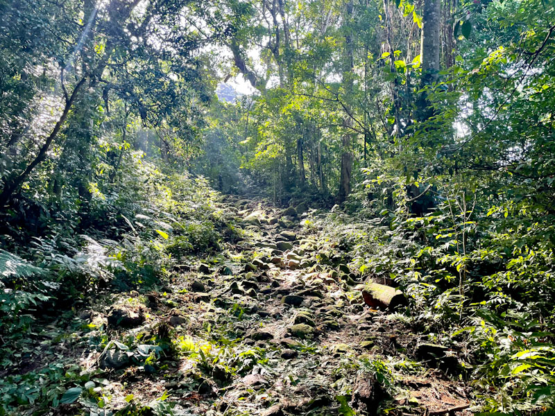 trilha do bonete ilhabela