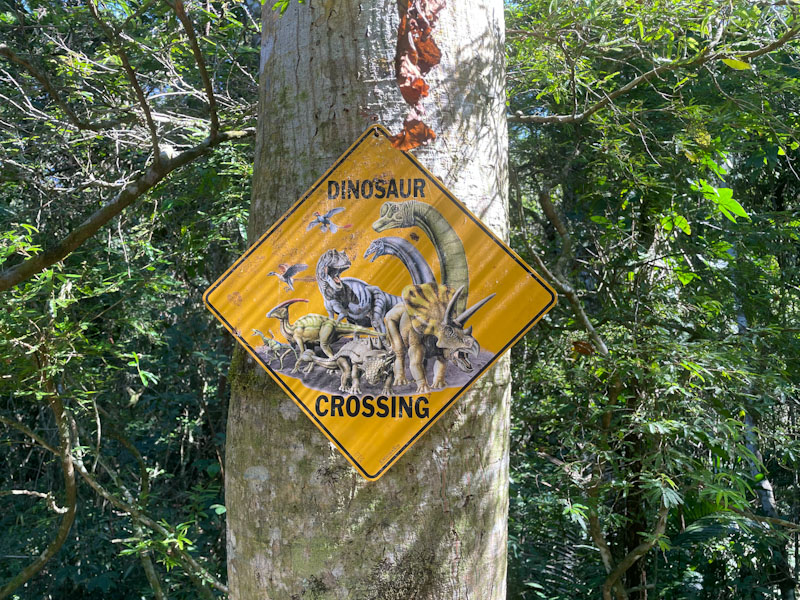 trilha bonete castelhanos ilhabela