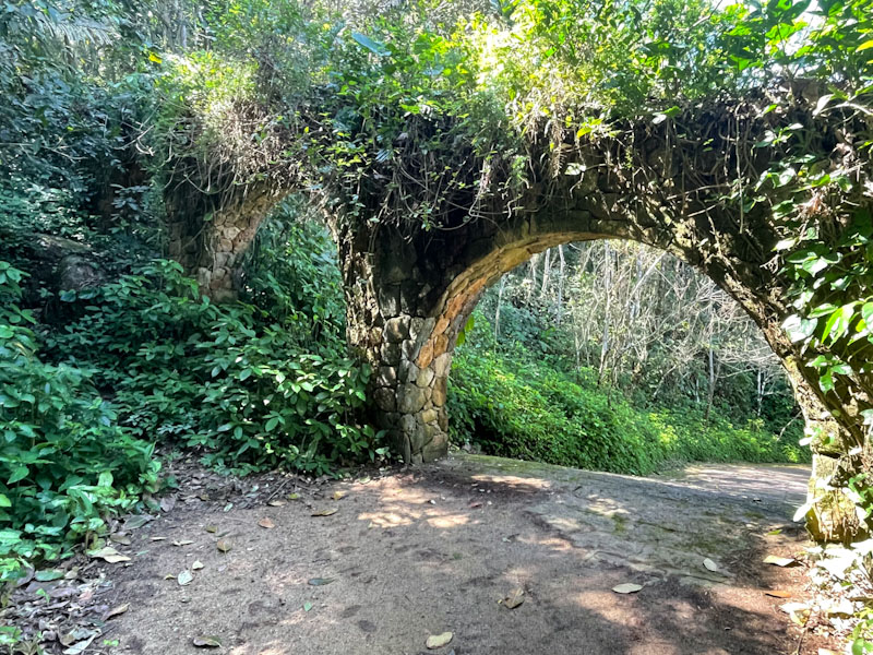 trilha bonete castelhanos ilhabela