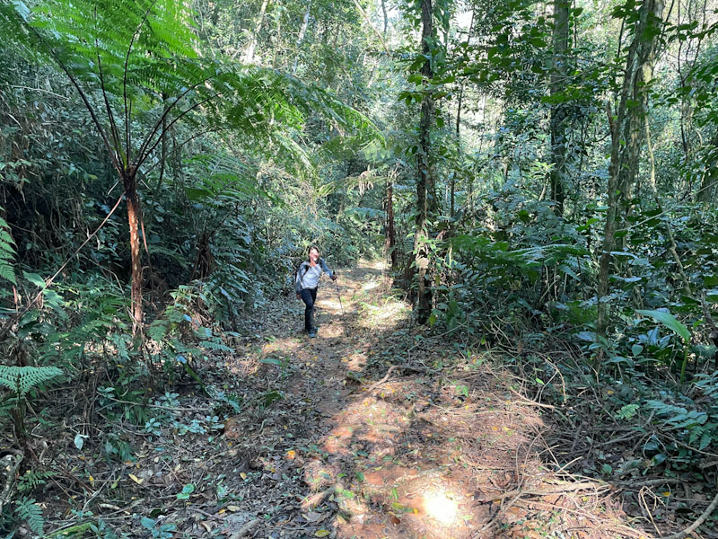 trilha bonete castelhanos ilhabela
