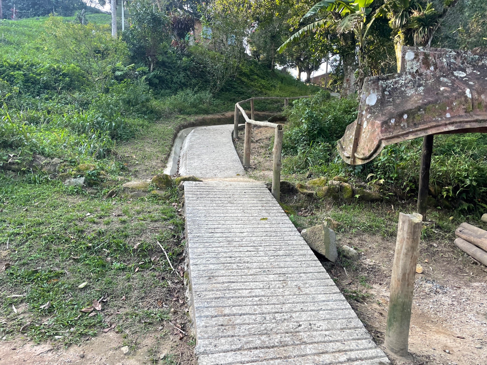 trilha bonete castelhanos ilhabela