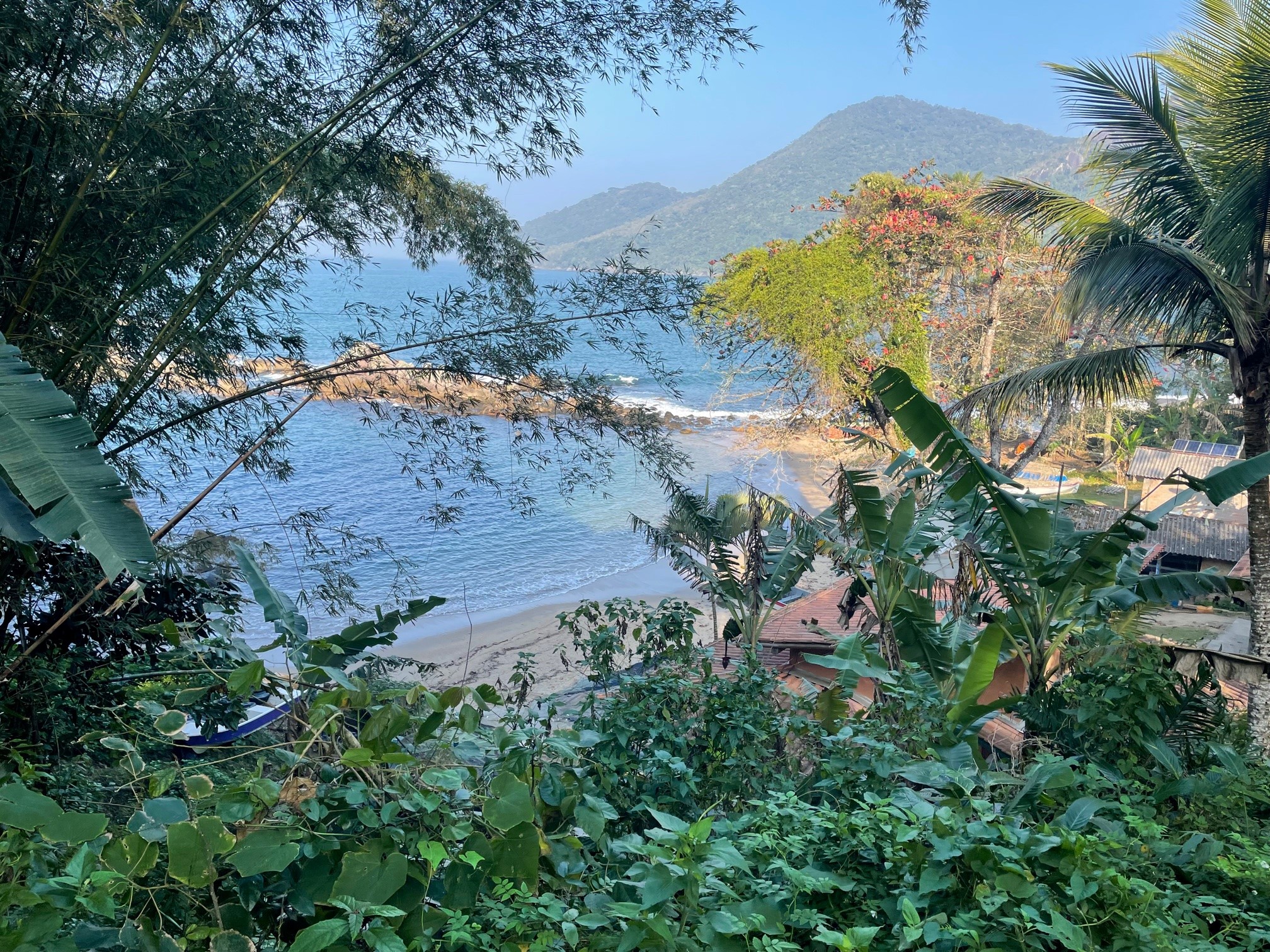 trilha bonete castelhanos ilhabela