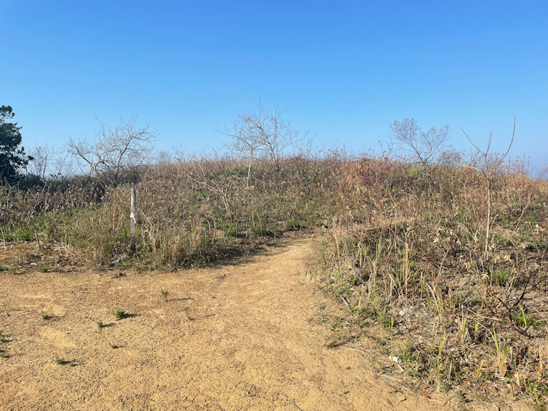 mirante bonete ilhabela como chegar