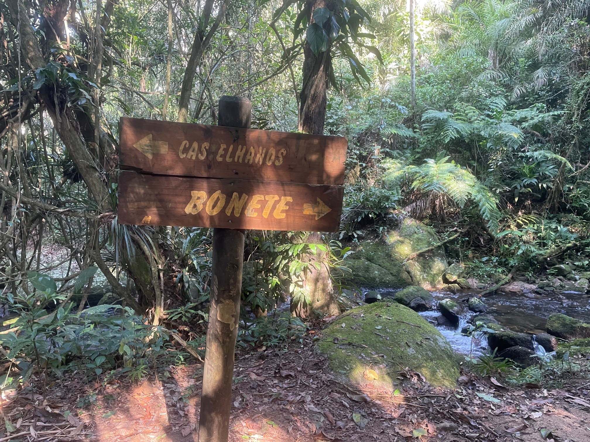 trilha bonete castelhanos ilhabela