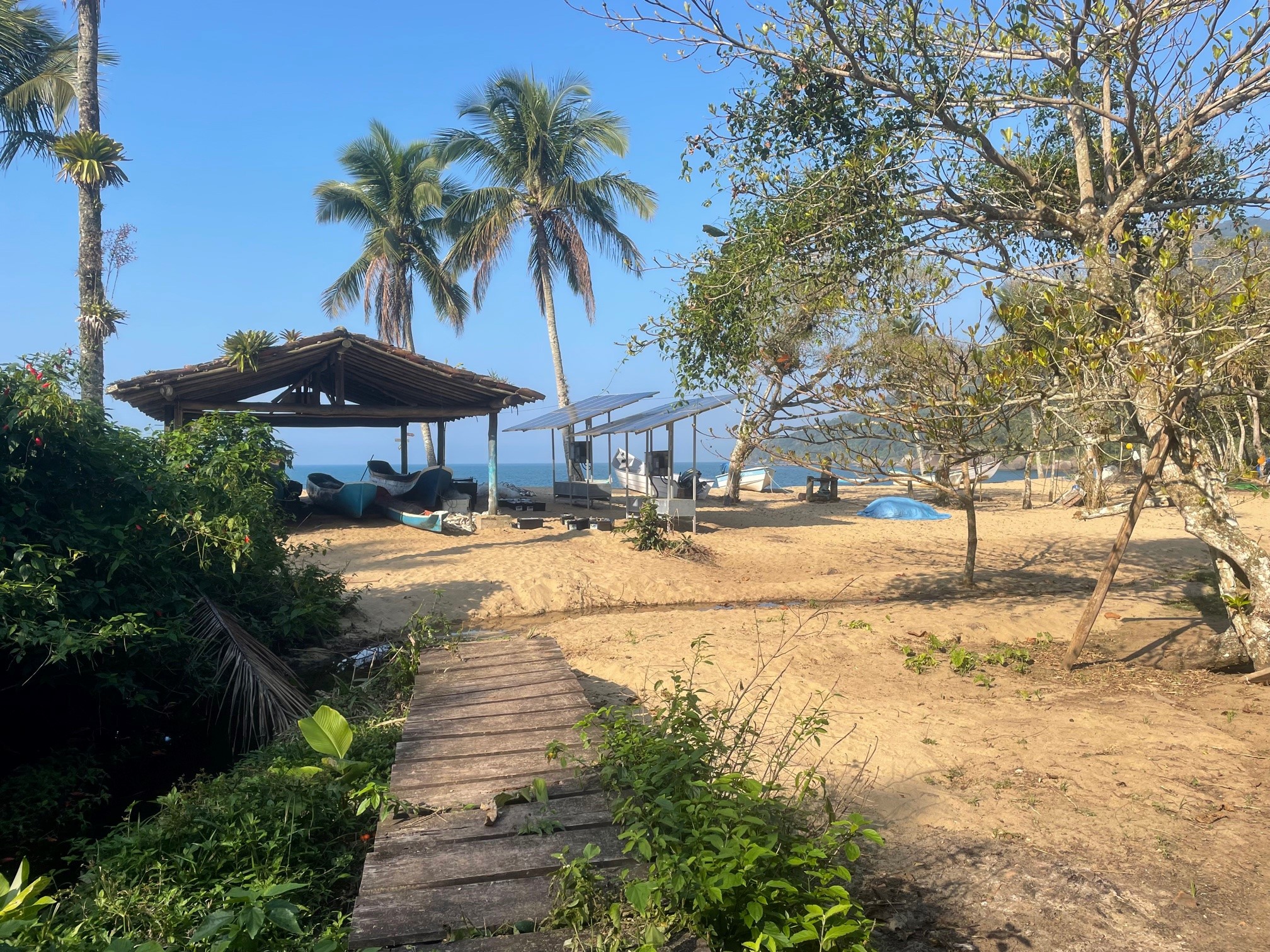 trilha bonete castelhanos ilhabela