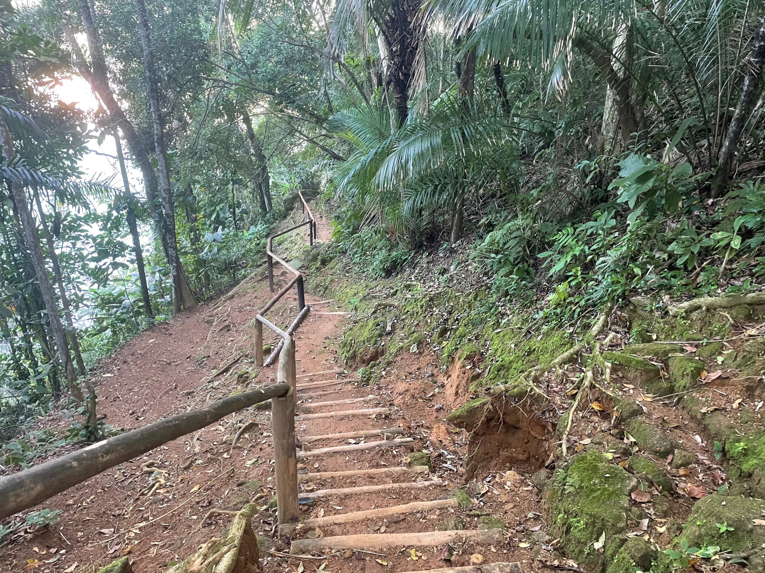 trilha bonete castelhanos ilhabela