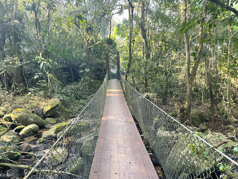 trilha bonete castelhanos ilhabela