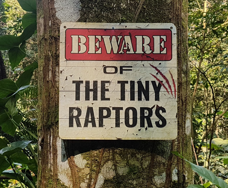 trilha bonete castelhanos ilhabela