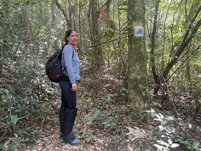 trilha bonete castelhanos ilhabela