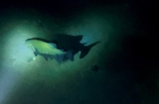 Fazenda pratinha flutuacao