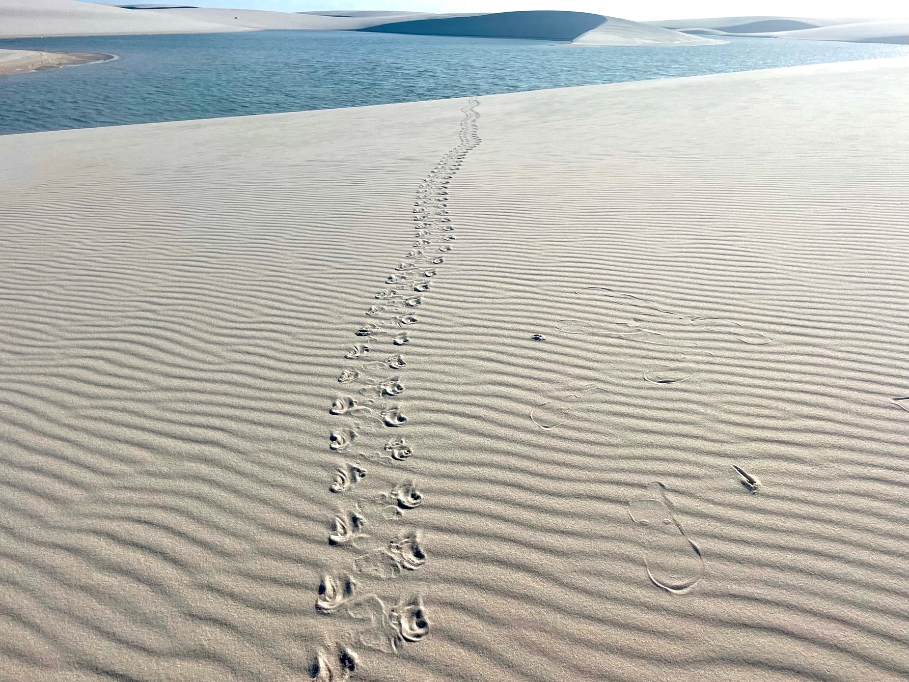 travessia lençois maranhenses